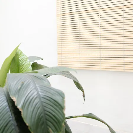 La Cochera Casa Emblematica En * 圣克鲁斯-德特内里费